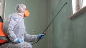 Best Mold Prevention Services  in Fleetwood, PA