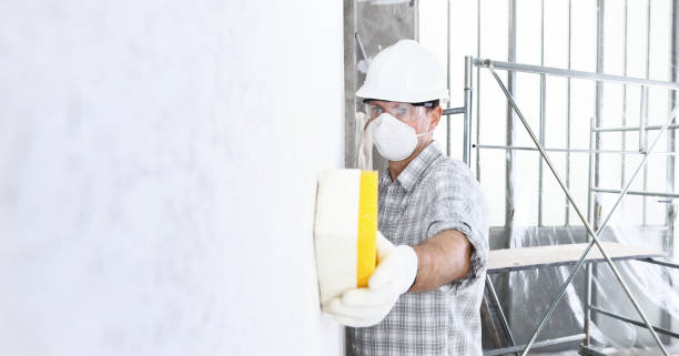 Best Commercial Mold Inspection  in Fleetwood, PA