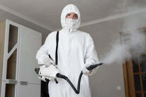 Best Attic Mold Removal  in Fleetwood, PA